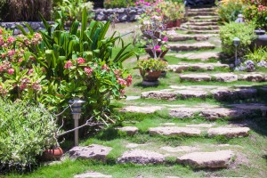 Propel Coaching and Consulting - Find your true path