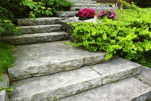 Propel Coaching and Consulting - Find your true path